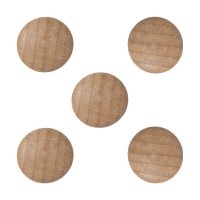 Legamaster Wooden magnets (5-pack) 7-181725 262083