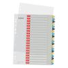 Leitz Cozy white/coloured A4 printable plastic tabs with 20 tabs (11-holes) 12490000 226369 - 1