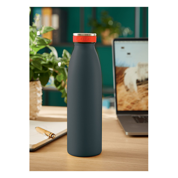 Insulated water bottle (500ml) | Leitz Cozy | velvet grey 226450 - 2