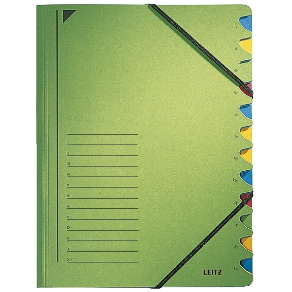 Leitz green file with 12 compartments 39120055 202864 - 1