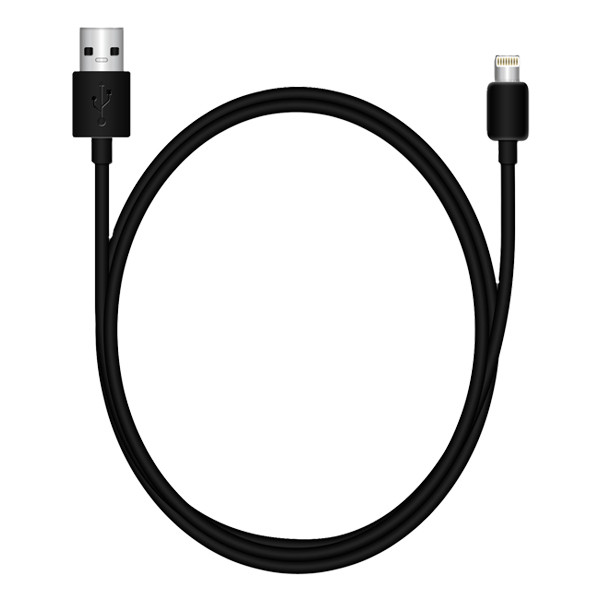 MediaRange USB 2.0 Charge/Sync black cable, 1.0m MRCS137 361052 - 