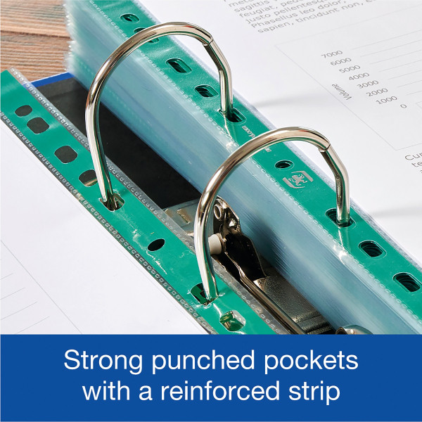 | Punched pocket (A4, 11-hole) | Oxford | 100-pack IE000505 - 3