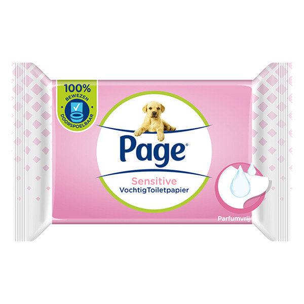 Page Sensitive moist toilet paper (38-pack)  SPA00511 - 1