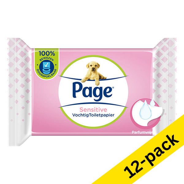 Toilet paper | Page Sensitive Moist (38-sheet) 12-pack SPA00512 - 1