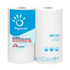 Kitchen roll | 2-ply | Papernet | 2-pack