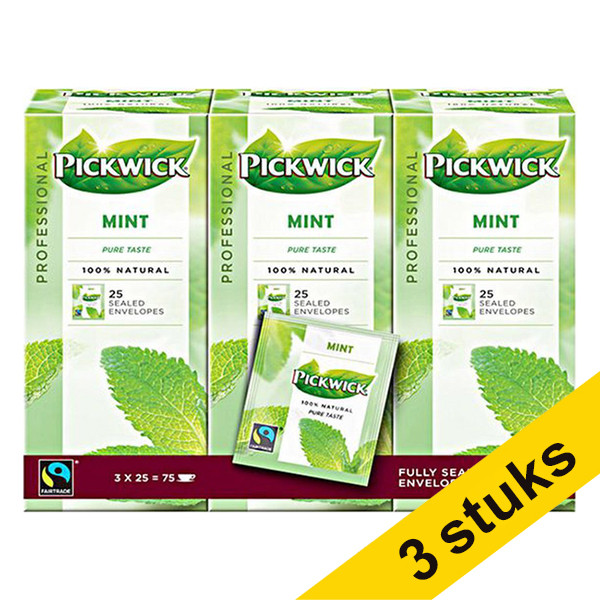 Pickwick Professional Mint tea (9 x 25-pack)  404322 - 1