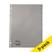 Plastic tabs Jan-Dec (12 grey tabs) | A4, 23-hole | 123ink | 5-pack