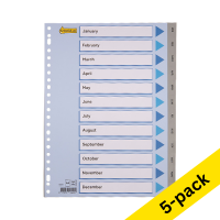 Plastic tabs Jan-Dec (12 grey/coloured tabs) | A4, 23-hole | 123ink | 5-pack