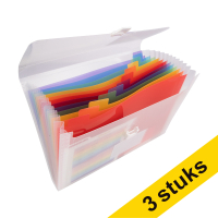Project folder (13 compartments) | 123ink transparent | 3-pack