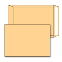 Q-Connect 250 Envelopes, C4 size, self seal manilla, 80g (1385/1R33)  500330