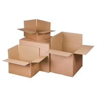 Raadhuis shipping box, 200mm x 200mm x 110mm (10-pack) RD-351126-10 209288