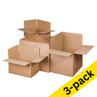 Raadhuis shipping box, 430mm x 305mm x 250mm (3 x 10-pack)  209407