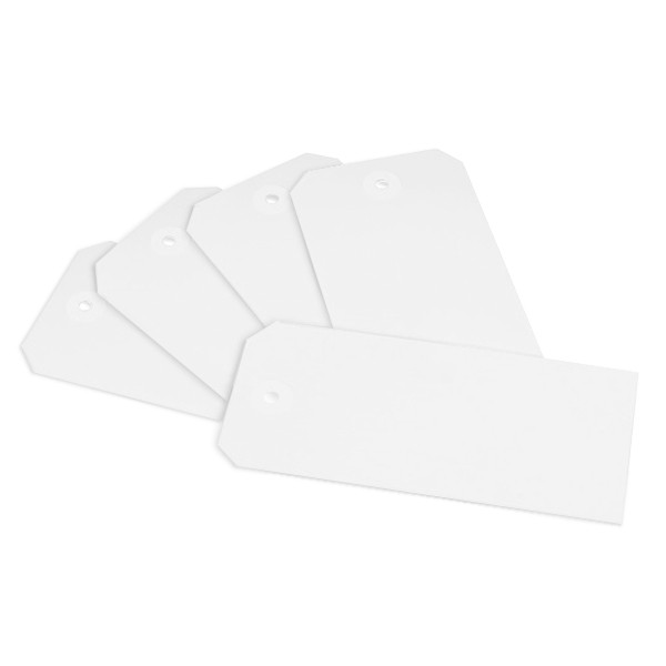 Raadhuis white labels with suspension eye, 55mm x 120mm (250-pack) RD-351169 209351 - 1