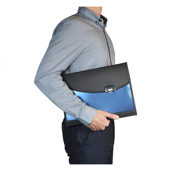 Rapesco blue project folder (7 compartments) 0679 202060 - 5