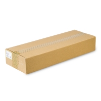Ricoh D0896509 waste toner collector (original Ricoh) 073704