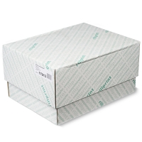 Continuous paper 380mm x 11 inch (1-fold) 60g | Rillstab 17913 | 2,000 sheets 068024
