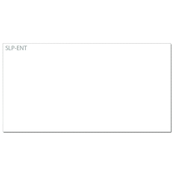 Seiko SLP-ENT name cards 39 x 75 mm (300 labels) 42100633 149034 - 1