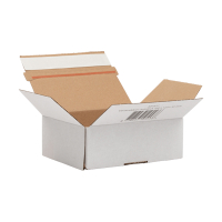 Shipping box 160mm x 123mm x 55mm | 123ink Autolock 10-pack 301872