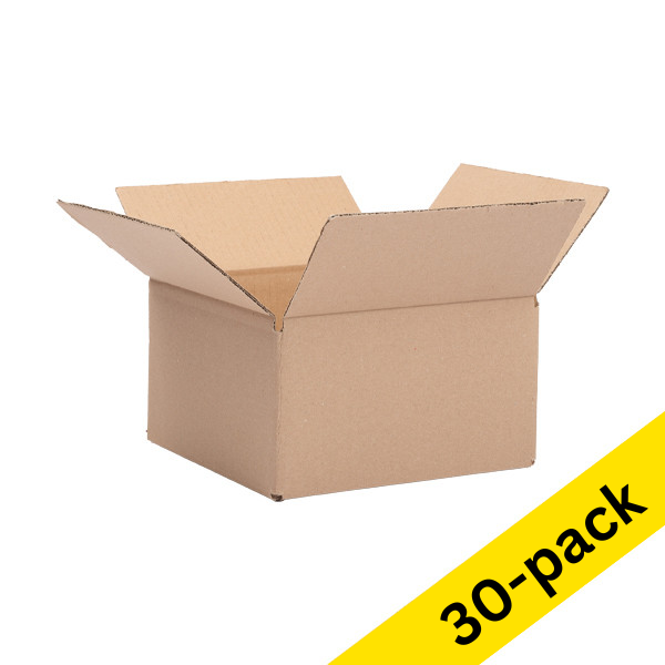 Shipping box 200 x 200 x 110mm | 123ink | 30-pack 301955 - 1