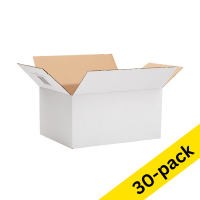 Shipping box 310 x 220 x 150mm | 123ink Autolock | 30-pack