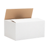 Shipping box 310mm x 220mm x 150mm | 123ink Autolock 10-pack 301875 - 2