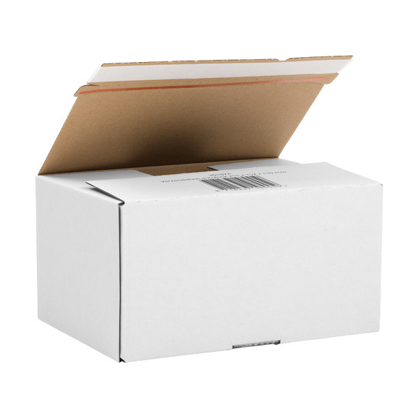 Shipping box 430mm x 300mm x 250mm | 123ink Autolock 10-pack 302633 - 2