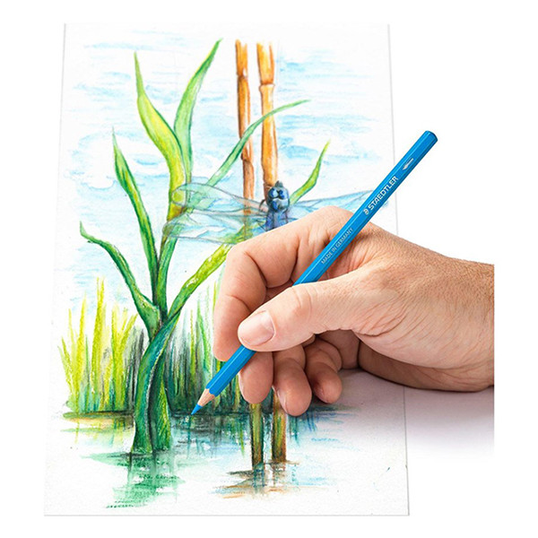 Colouring pencils | Staedtler 146C | 12-pack 209515 - 3