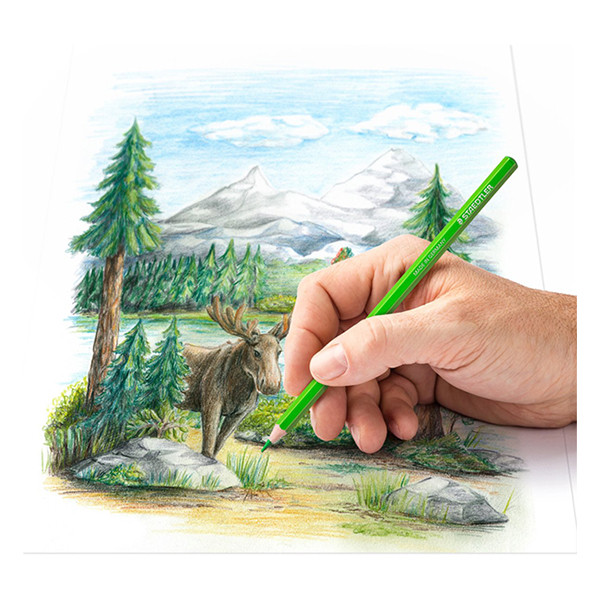 Colouring pencils | Staedtler 146C | 24-pack 209516 - 3