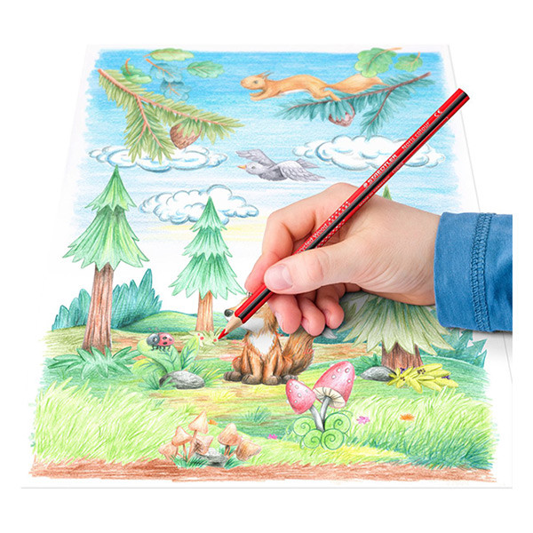 Colouring pencils | Staedtler Noris | 24-pack 209573 - 3