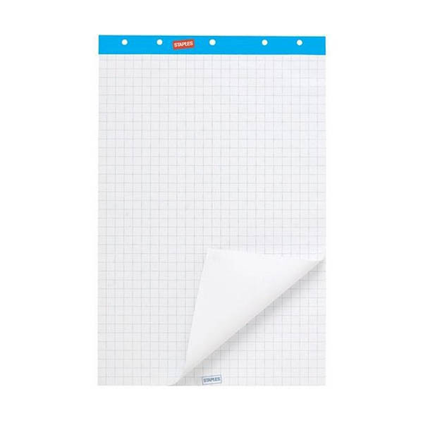 Staples blank/squared flipchart pad, 65cm x 100cm (2 x 50 sheets) 302900 - 1