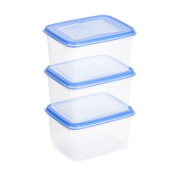 Sunware Club Cuisine transparent/blue freezer containers set, 1.5 litres 76700663 216783