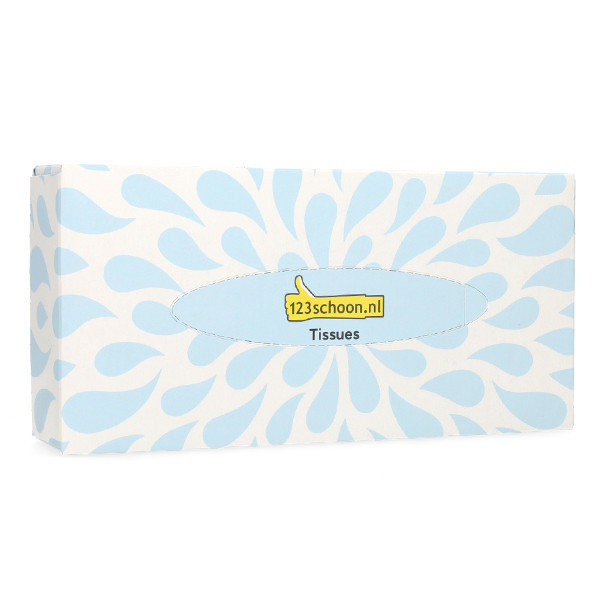 Tissues (2-ply) | 123ink | 100 sheets SDR07358 - 1