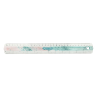 Westcott Trendsetter pink ruler plastic (30cm) AC-E13300-RO 221083