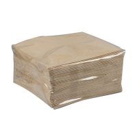 2-layer ECO brown napkins (100-pack)