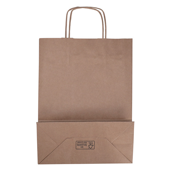 White label Brown paper carrier bag, 260mm x 340mm x 120mm (100-pack) 270669 402705 - 2
