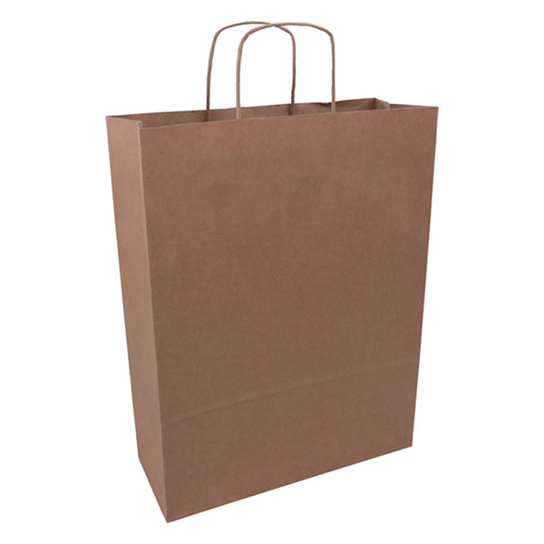 White label Brown paper carrier bag, 320mm x 410mm x 120mm (100-pack) 270670 402706 - 1