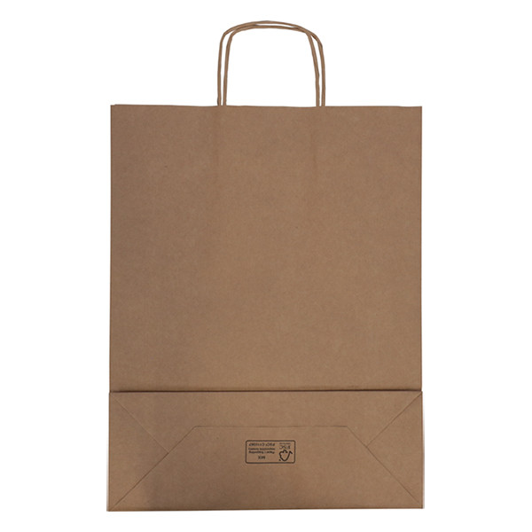 White label Brown paper carrier bag, 320mm x 410mm x 120mm (100-pack) 270670 402706 - 2