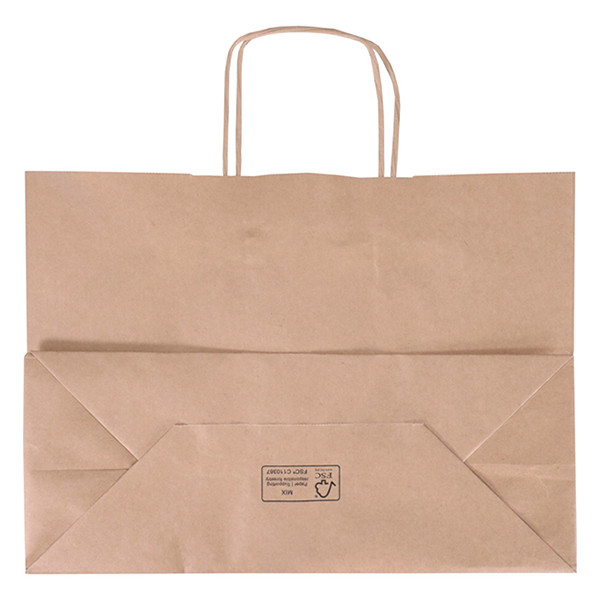 White label Brown paper carrier bag, 350mm x 260mm x 140mm (100-pack) 270676 402874 - 2
