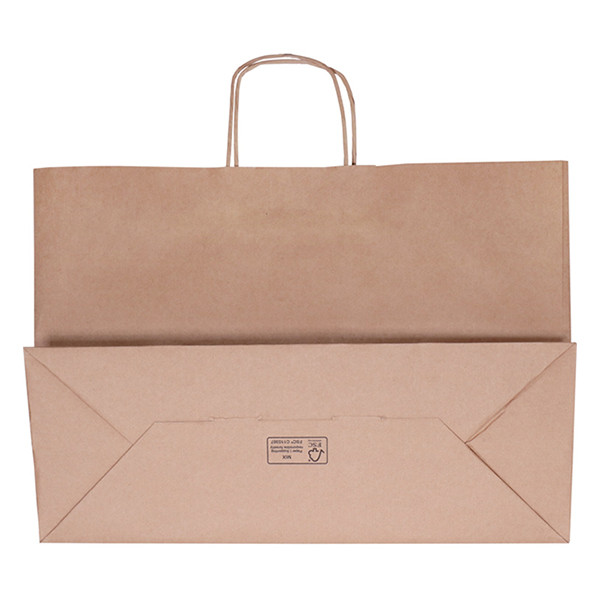 White label Brown paper carrier bag, 450mm x 330mm x 170mm (100-pack) 270677 402873 - 2