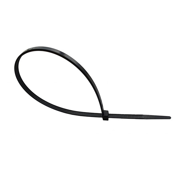 Cable ties / tiewrap (black) | 160 x 4.8mm | 100-pack 209397 - 4