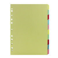 Whitebox coloured A4 cardboard tabs with 10 tabs (11 holes) ST05446 405368