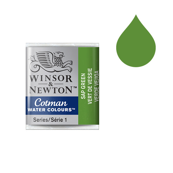 Winsor & Newton Cotman 599 sap green watercolour paint (half pan) 410499 - 1