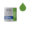 Winsor & Newton Cotman 599 sap green watercolour paint (half pan) 410499 - 1