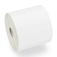 Zebra Gloss White polyester RFID label (ZIPRD3017411) 152 x 102mm | 2-pack 145278