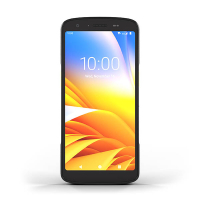 Zebra TC22 handheld terminal 848223