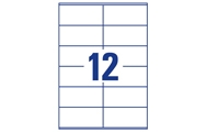 12 sheet (105 x 48 mm)