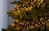 Cluster Christmas lights