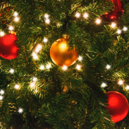 LED Christmas lights: 5 advantages
