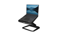 Standard laptop stands