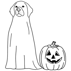 Halloween Dog